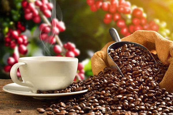 From Cherry to Cup
