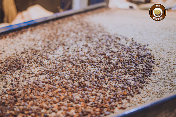 Burundi Coffee Origin