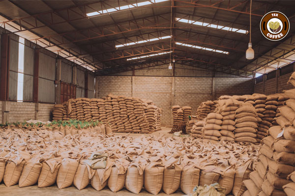 Premium Arabica