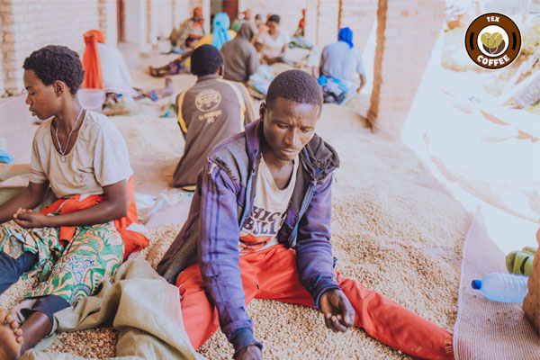 Gitega Coffee Region