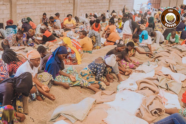 Empowering Farmers